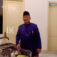 Kucing kesayangan Presiden Prabowo Subianto, Bobby Kertanegara tengah jadi perhatian warganet. Setelah pelantikan, kucing putih bercorak abu-abu itu ikut Prabowo pindah ke Istana Kepresidenan. Foto: Instagram @bobbykertanegara