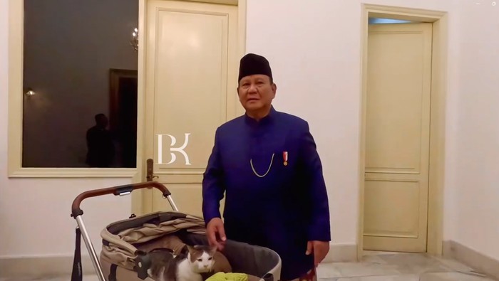 Presiden Prabowo Subianto bersama kucing kesayangan, Bobby Kertanegara. (Tangkapan layar IG Bobby Kertanegara).