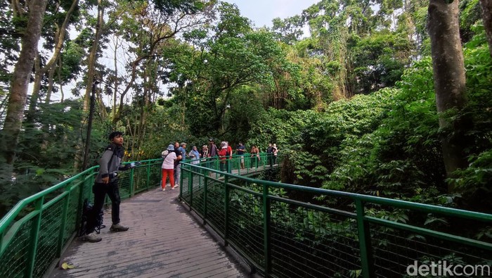 Suasana pagi di Taman Babakan Siliwangi Kota Bandung.