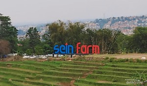 Bukan Lahan Pertanian Biasa dari Bandung