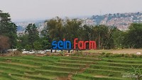 Sein Farm di Ujung Berung, Kota Bandung.