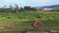 Sein Farm Bandung.