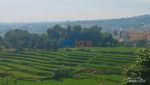 Bukan Lahan Pertanian Biasa dari Bandung