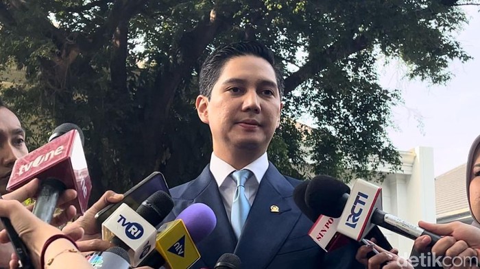 Wakil Ketua Umum Partai Gerindra, Gerardus Budisatrio Djiwandono (Kurniawan/detikcom).
