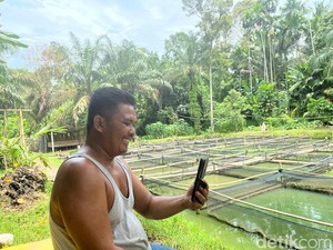 Cerita dari Desa Hulu, Jadi Kampung IM3 Andalan, Buat Warga Raih Cuan