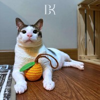 Pet stroller yang digunakan hewan peliharaan RI 1 itu datang dari merek Uppapets, dibanderol seharga Rp 6 juta hingga Rp 16 juta. Ada bordiran inisial BK dan nama panjangnya Bobby Kertanegara di bagian kiri dan kantung depan stroller. Foto: dok. Instagram @bobbykertanegara