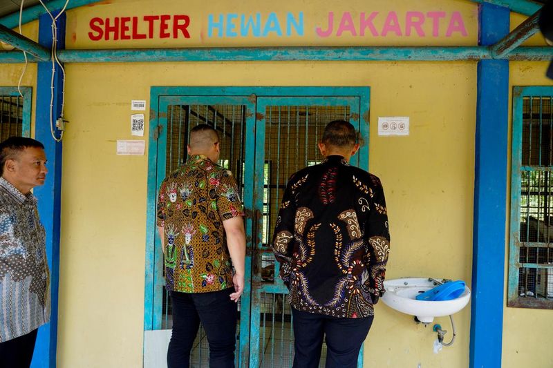 Anggota DPRD Jakarta dari Fraksi PDI Perjuangan, Hardiyanto Kenneth bersama Ketua Animal Defender Indonesia, Doni Hendaru Tona melakukan kunjungan ke Pusat Pelayanan Kesehatan Hewan (Puskeswan) Pasar Minggu,