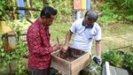 Melihat Budidaya Lebah Madu Kelulut Palaran