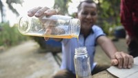 Dalam sebulan mereka mampu memanen madu per kotaknya mencapai 1-3 liter yang dijual sekitar Rp 70 ribu hingga Rp 600 ribu. 