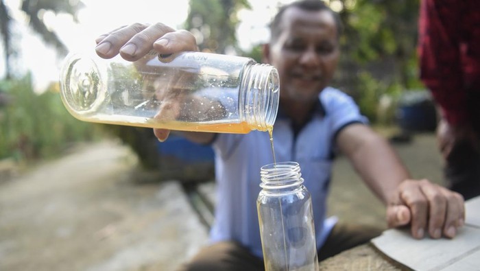 Warga menuangkan hasil panen dari lebah madu kelulut di Palaran, Samarinda, Kalimantan Timur, Minggu (20/10/2024). Pembudidayaan lebah madu kelulut yang dikembangkan hampir 50 persen warga yang berada di Kelurahan Rawa Makmur itu sebulannya mampu memanen madu per kotaknya mencapai 1-3 liter yang dijual sekitar Rp70 ribu hingga Rp600 ribu. ANTARA FOTO/M Risyal Hidayat/Spt.