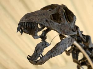 Penelitian Ungkap Ada Interaksi Manusia Purba dengan Dinosaurus
