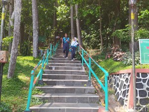 Usai Insiden Peziarah Tewas Tertimpa Pohon, Gunung Tidar Dibuka Kembali