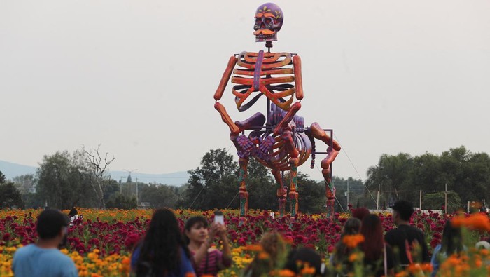 People walk near marigold fields and a giant skeleton figure, built by local artisans representing Mexican bandit-turned-revolutionary Francisco 