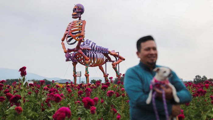 Instalasi Tengkorak Raksasa Semarakan Peringatan Hari Kematian di Meksiko People walk near marigold fields and a giant skeleton figure, built by local artisans representing Mexican bandit-turned-revolutionary Francisco