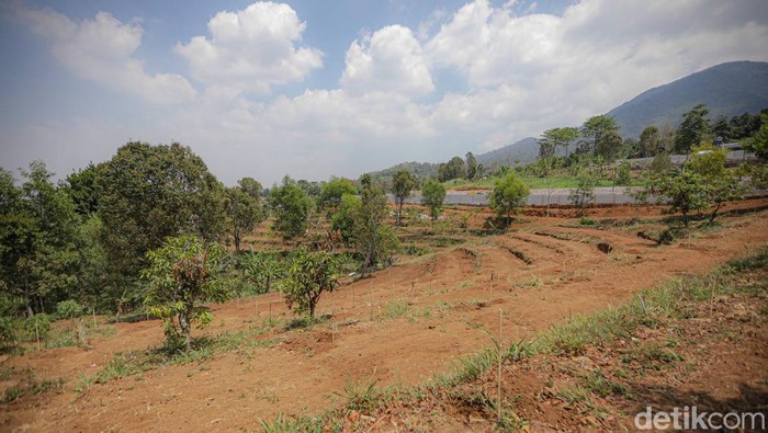 Lahan di Kawasan Bandung Utara (KBU)