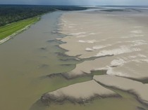 Sungai Amazon Kolombia Dilanda Kekeringan Parah