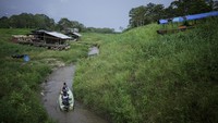 Fenomena ini mengancam ekosistem dan kehidupan sekitar.    