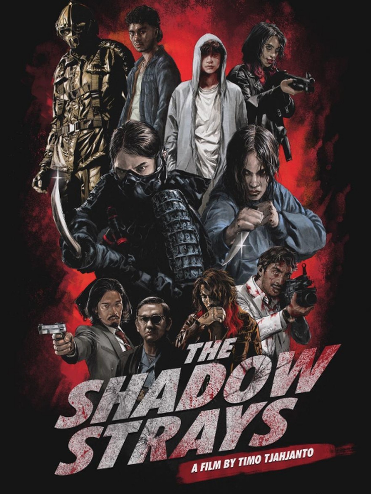 The Shadow Strays (2024)
