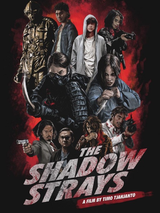 Poster film The Shadow Strays.