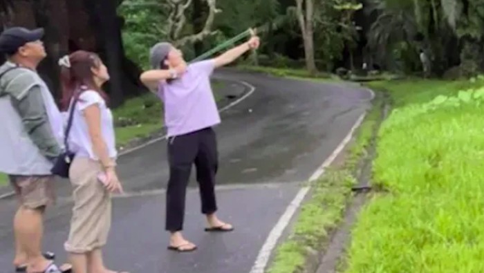 Turis China tembaki batu ke kandang Moo Deng