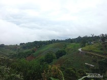 Pesona Alam Ciburial Bak Surga Tersembunyi di Bandung Barat