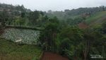 Pesona Alam Ciburial Bak Surga Tersembunyi di Bandung Barat