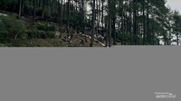 Puntang