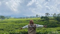 Kebun Teh Rancabali Ciwidey