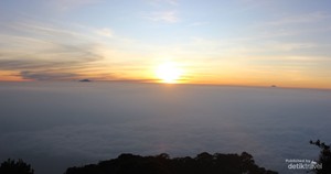 Lautan Awan yang Magis di Puncak Gunung Cikuray