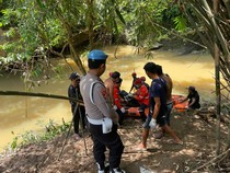 Jahrin Pria Lansia Tewas Diterkam Buaya 4 Meter Saat Mandi di Sungai Kotabaru