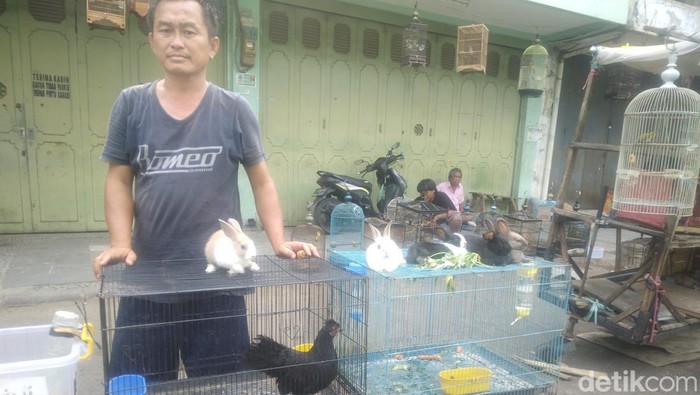 Hendrik di depan lapak Ayam Hiasnya