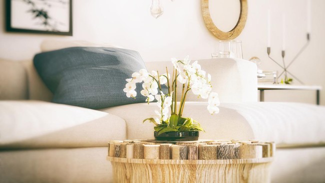 Inspirasi Ruang Tamu dengan Sentuhan Tanaman bak Taman Indoor