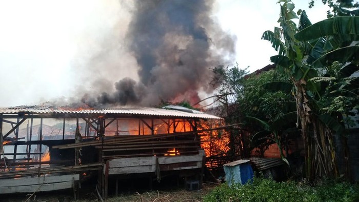Kandang kambing milik warga di Cilincing, Jakarta Utara (Jakut) kebakaran. Insiden ini mengakibatkan 14 ekor kambing mati terpanggang. (dok Damkar Jakut)