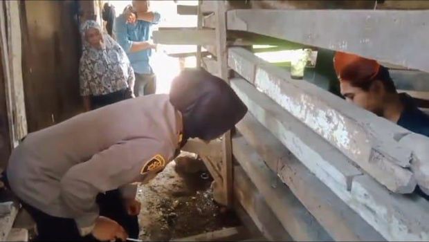 Kapolsek Lengkong Iptu Bayu mengevakuasi kakak-beradik Hamdan dan Hamdi dari kandang yang mereka tinggali selama 5 tahun terakhir karena ODGJ.