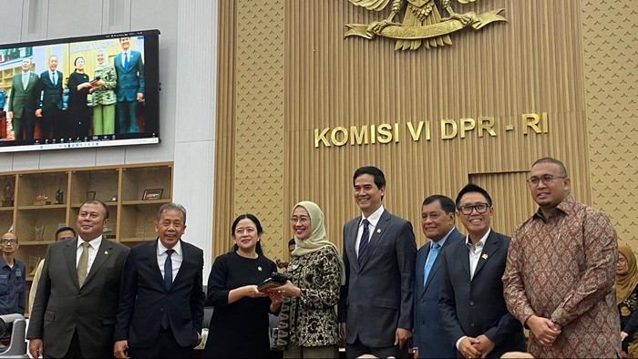 Komisi VI DPR RI
