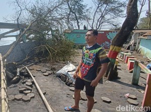 Konservasi Penyu di Kulon Progo Rusak Imbas Abrasi, Ratusan Telur Raib