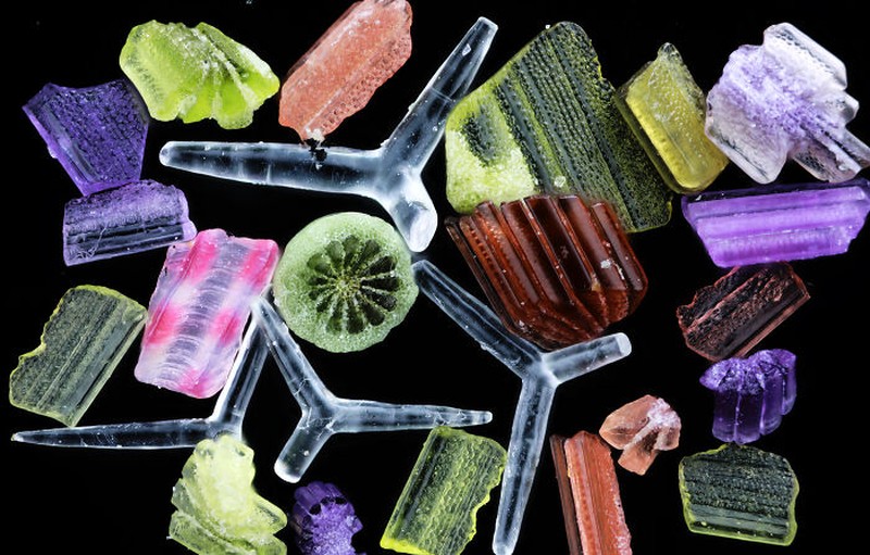 Nikon Small World 2024