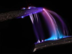 Foto Menakjubkan Jawara Kontes Dunia Kecil Nikon 2024