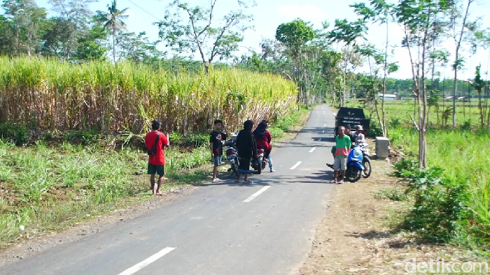 pembacokan di lumajang hingga tewas