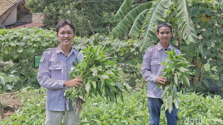 Petani Milenial di Tepian Ibu Kota