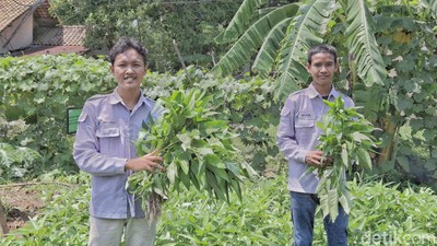 Petani Milenial di Tepian Ibu Kota