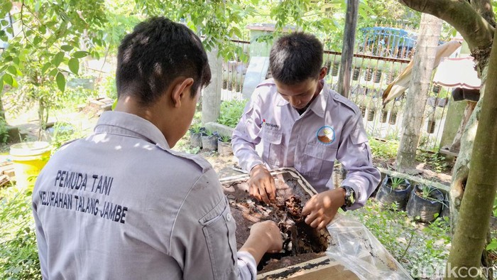 Petani milenial saat melakukan perawatan dan pengecekan terhadap penangkaran madu kelulut.