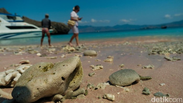 Pink Beach Komodo Cantik Sih, tapi Nggak Ada Toilet Pink Beach menjadi daya tarik wisatawan yang berkunjung ke Taman Nasional Komodo karena pasir berwarna pink. Namun sayang, destinasi wisata ini belum ada toilet.