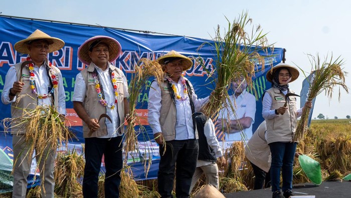 Pupuk Indonesia Turun Tangan Genjot Produksi Padi, Begini Caranya
