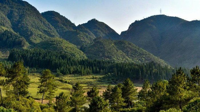 A mountain landscape in Shillong, Meghalaya. Rolling hills covered in lush green vegetation dominate the scene. The distant hills rise majestically, partially shrouded in mist. In the foreground, a valley stretches out, dotted with tall pine trees. The sky is a clear blue