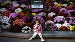 Terpesona Indahnya Bunga Warna-warni di Taman Beijing
