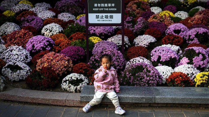 Salah satu taman umum di Beijing, China menawarkan bunga warna-warni yang bermekaran. Yuk lihat keindahan bunga-bunga tersebut.