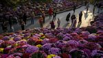 Terpesona Indahnya Bunga Warna-warni di Taman Beijing