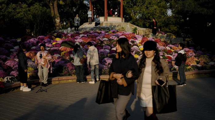 Salah satu taman umum di Beijing, China menawarkan bunga warna-warni yang bermekaran. Yuk lihat keindahan bunga-bunga tersebut.