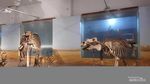Ide Liburan Murah di Bandung: Melihat Keunikan Museum Geologi